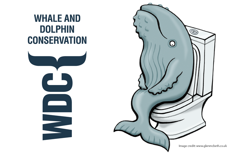 Whale and Dolphin Conservation